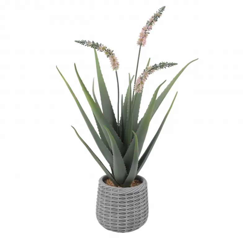 24P0751-Artificial Aloe in EVA Pot