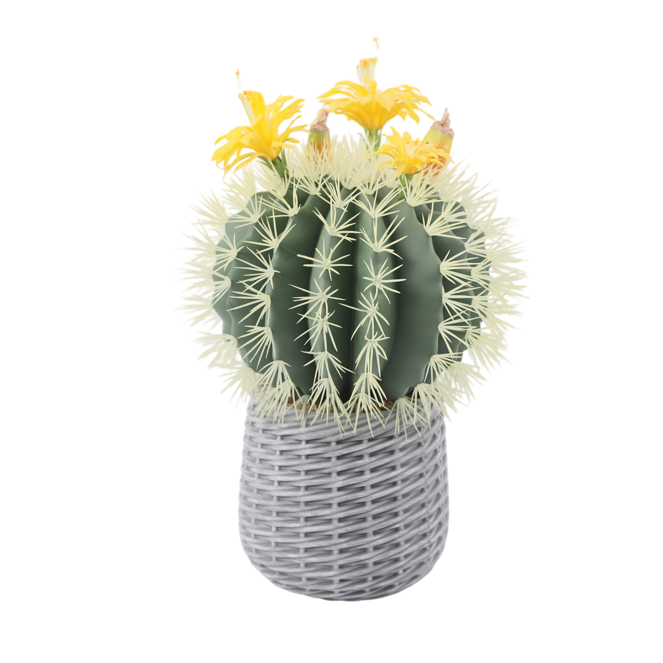 24P0843-Artificial Cactus in EVA Pot