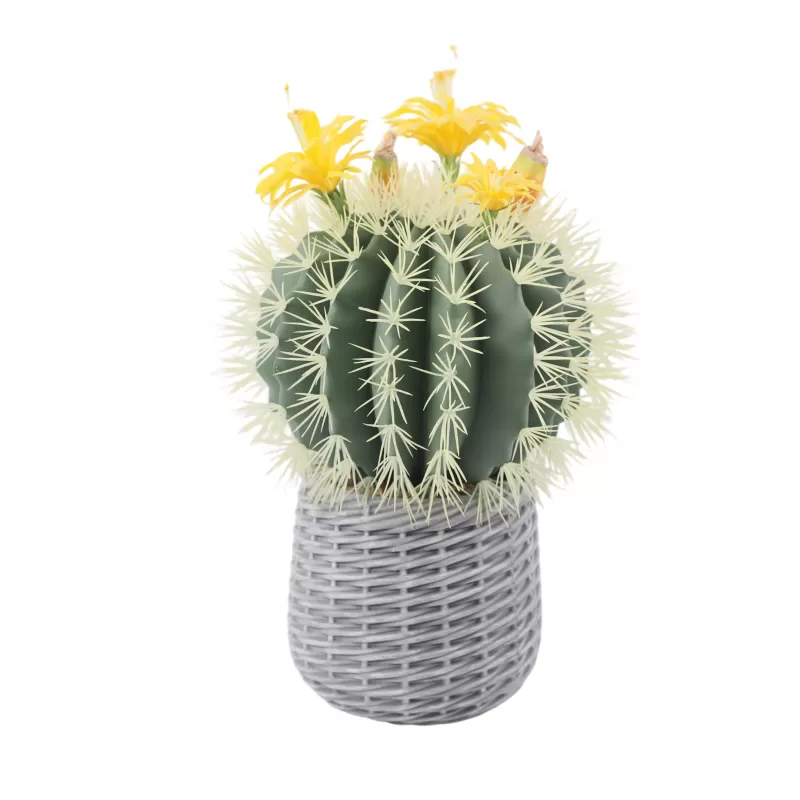 24P0843-Artificial Cactus in EVA Pot