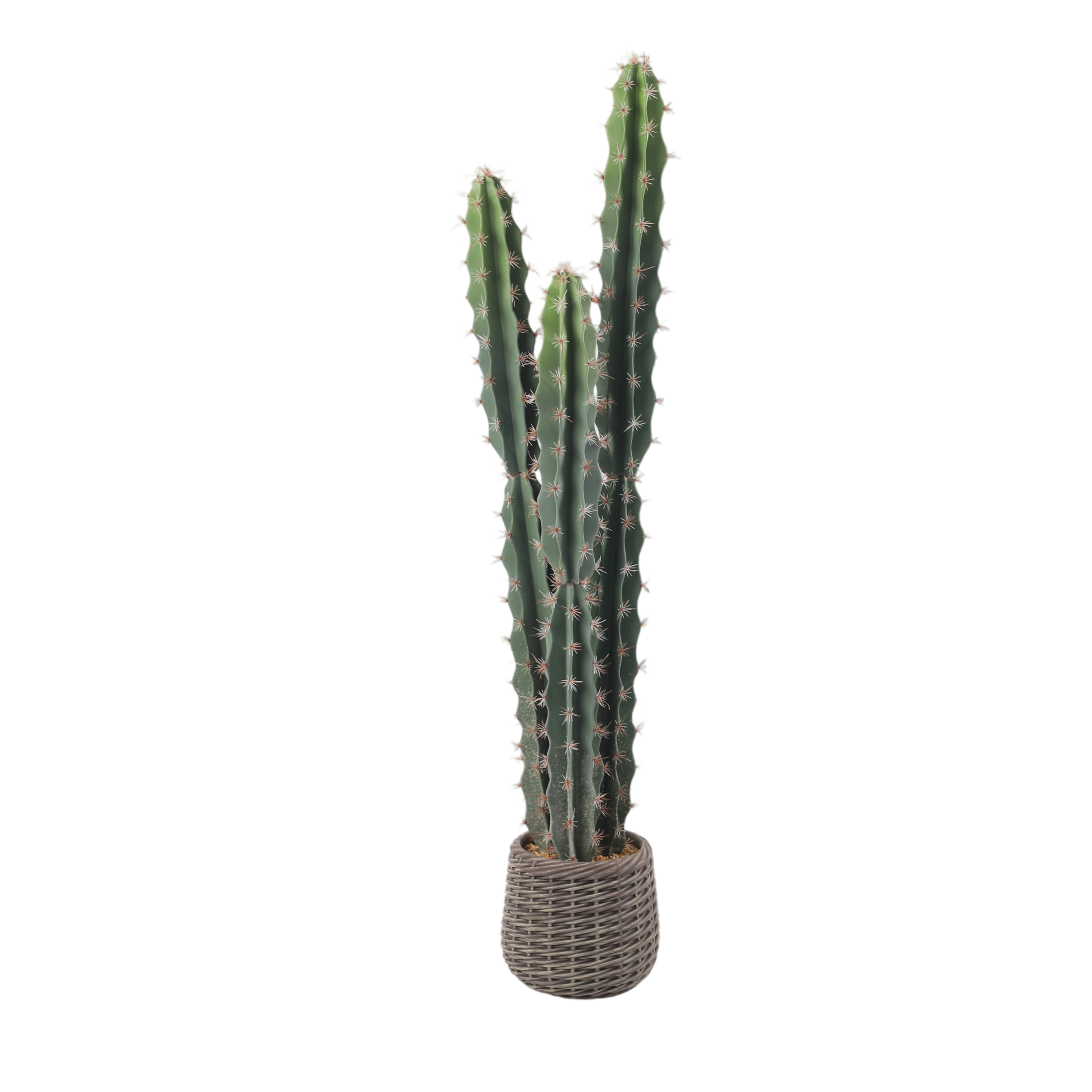 24P0840-Artificial Cactus in EVA Pot