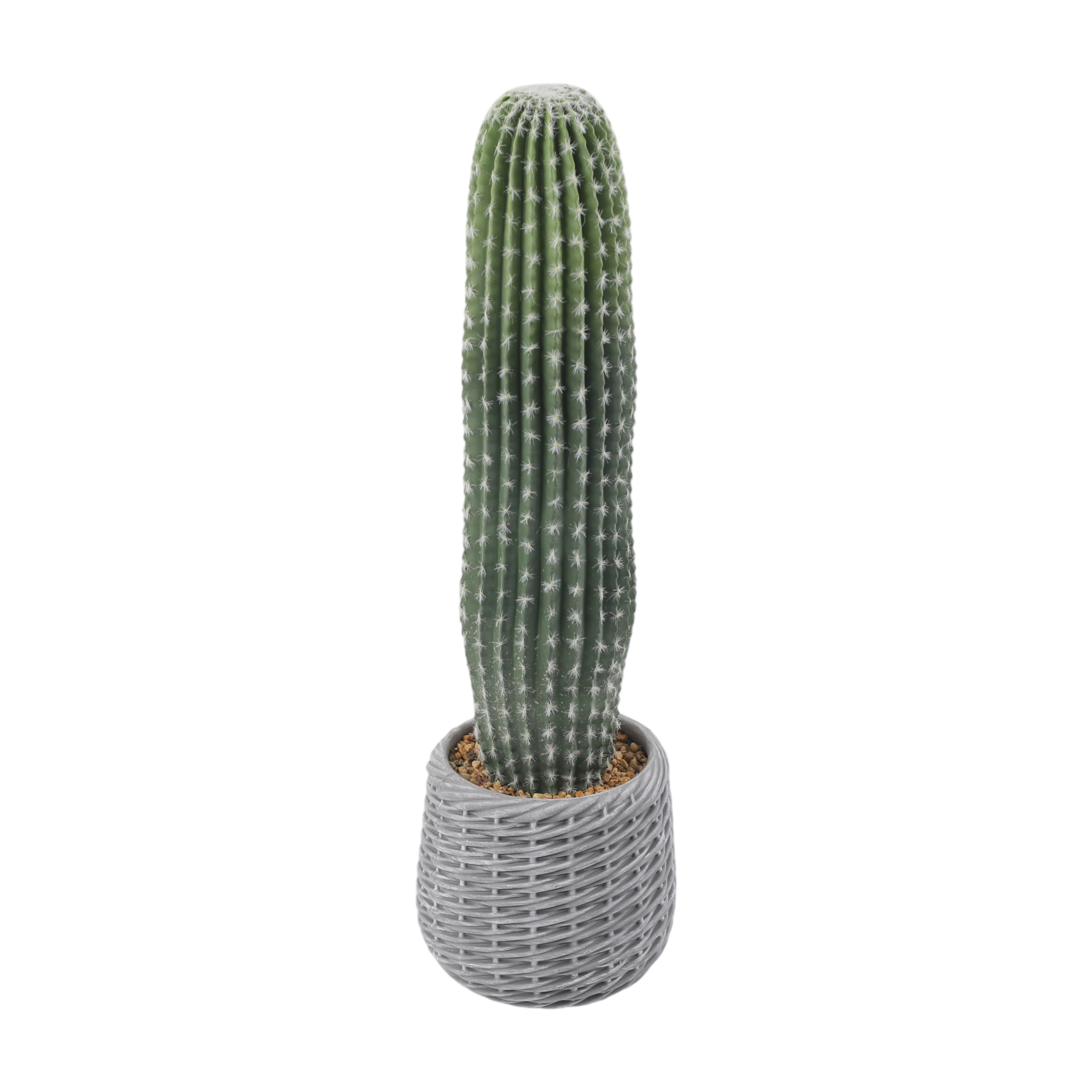 24P0720-Artificial Cactus in EVA Pot