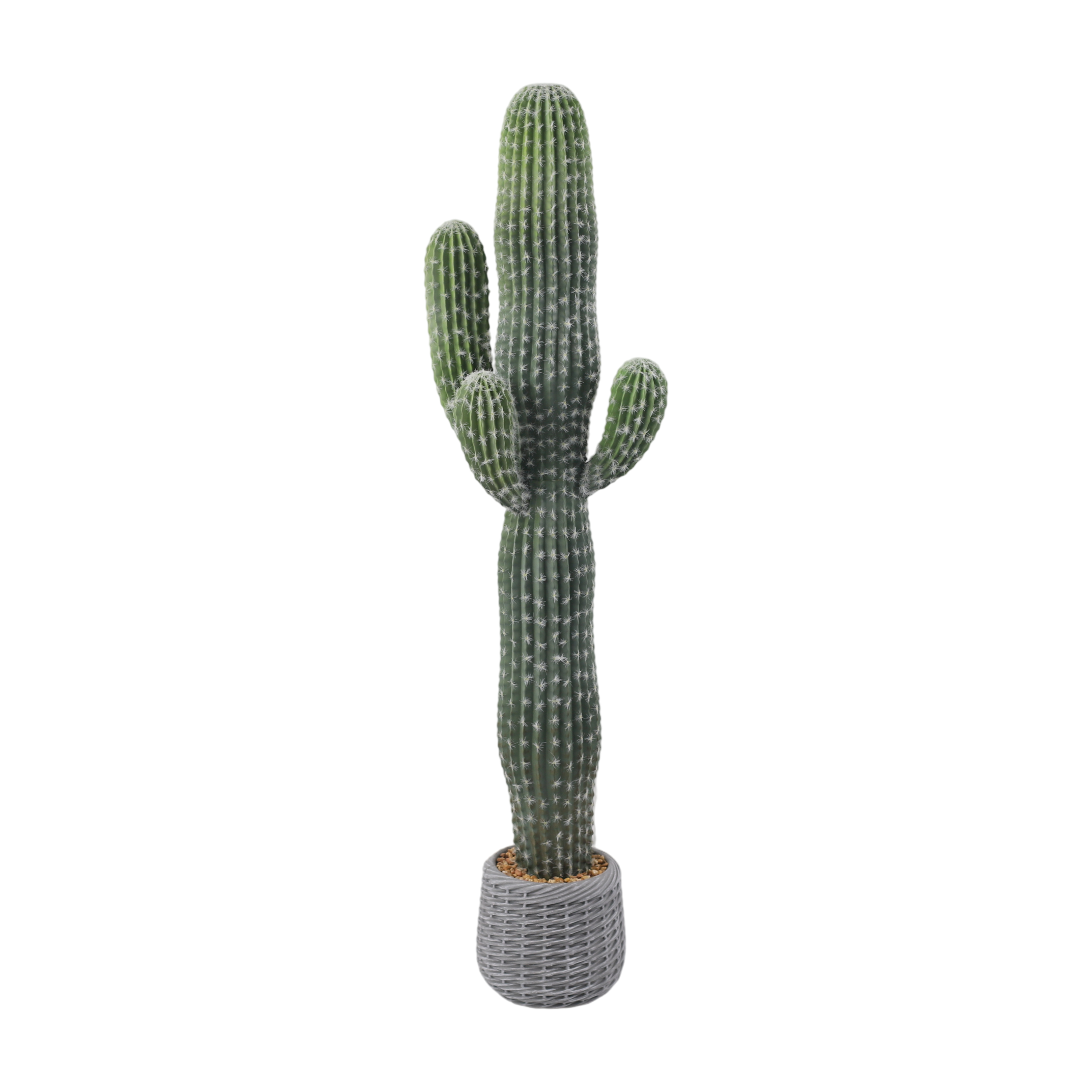 24P0719-Artificial Cactus in EVA Pot