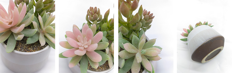Faux Succulents In Pots