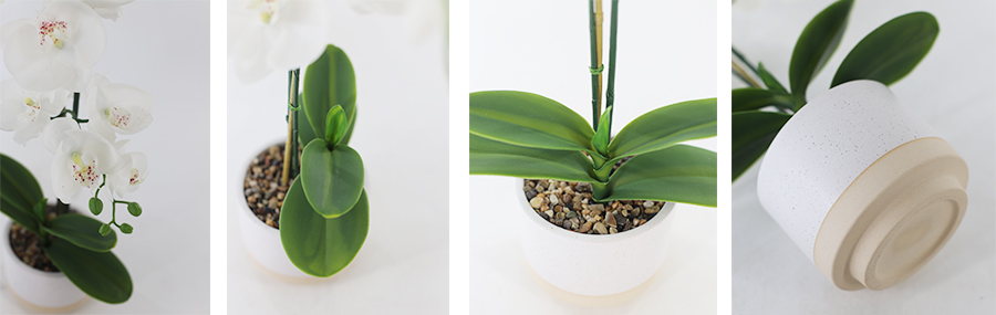 Artificial Orchid In Pot