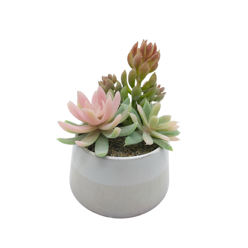 Faux Succulents In Ceramic Pot