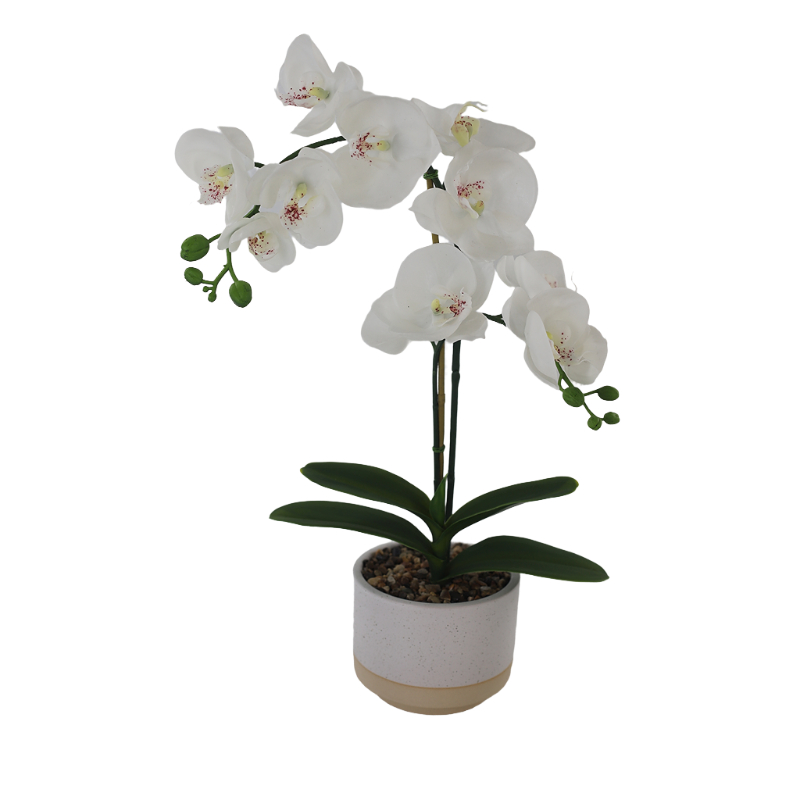 Artificial Orchid In Melamine Pot