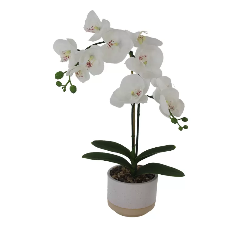 Artificial Orchid In Melamine Pot