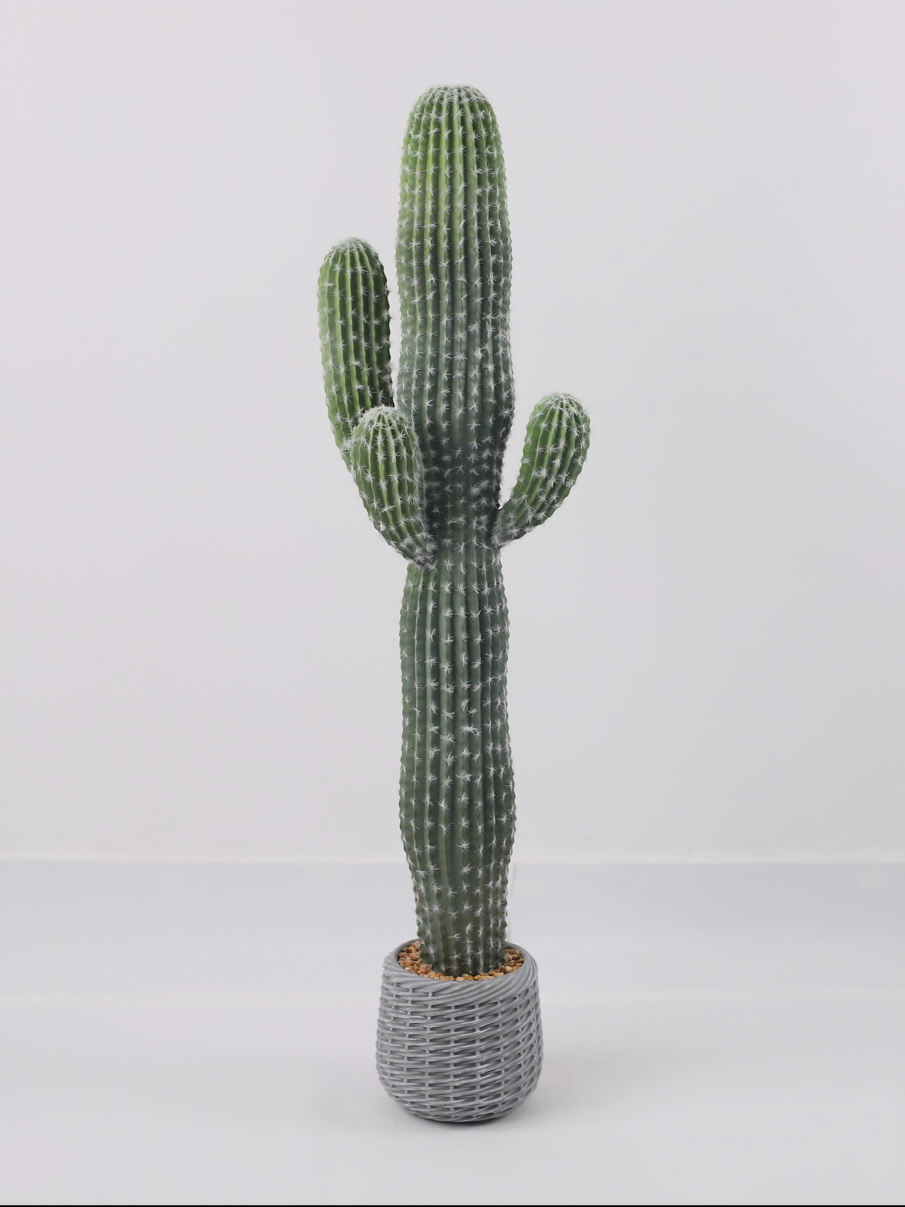 24P0719-Artificial Cactus in EVA Pot