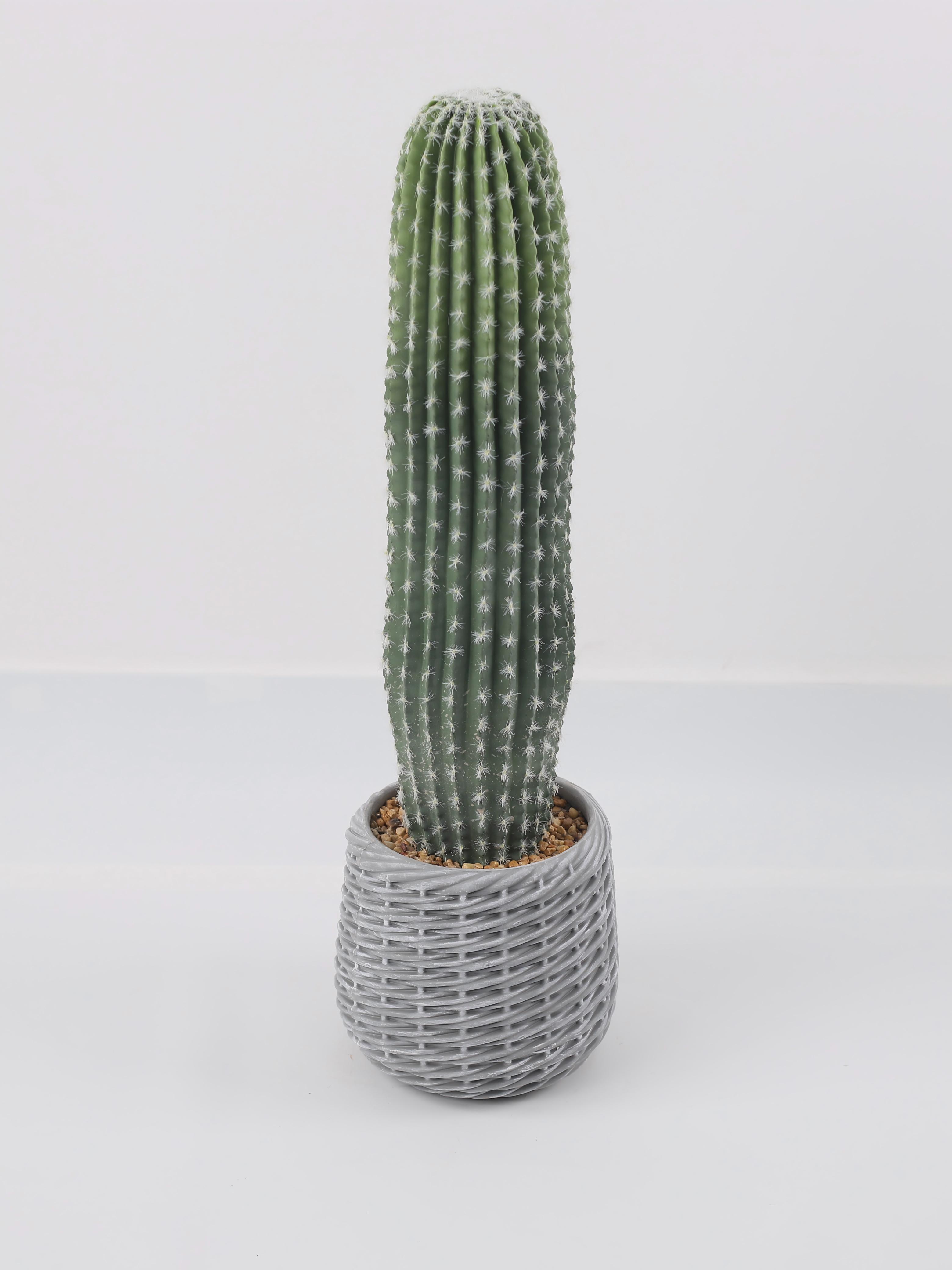 24P0720-Artificial Cactus in EVA Pot