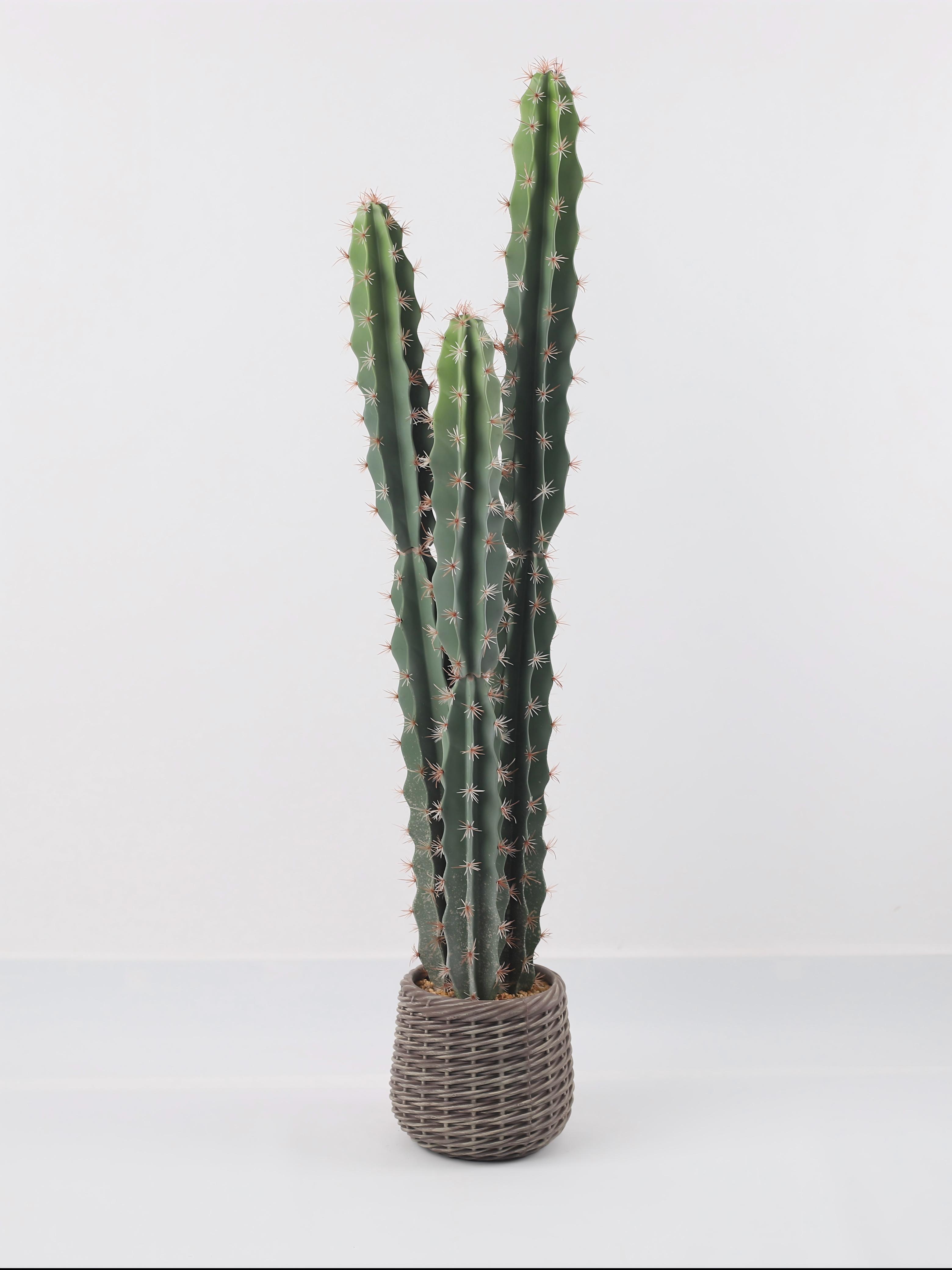 24P0840-Artificial Cactus in EVA Pot