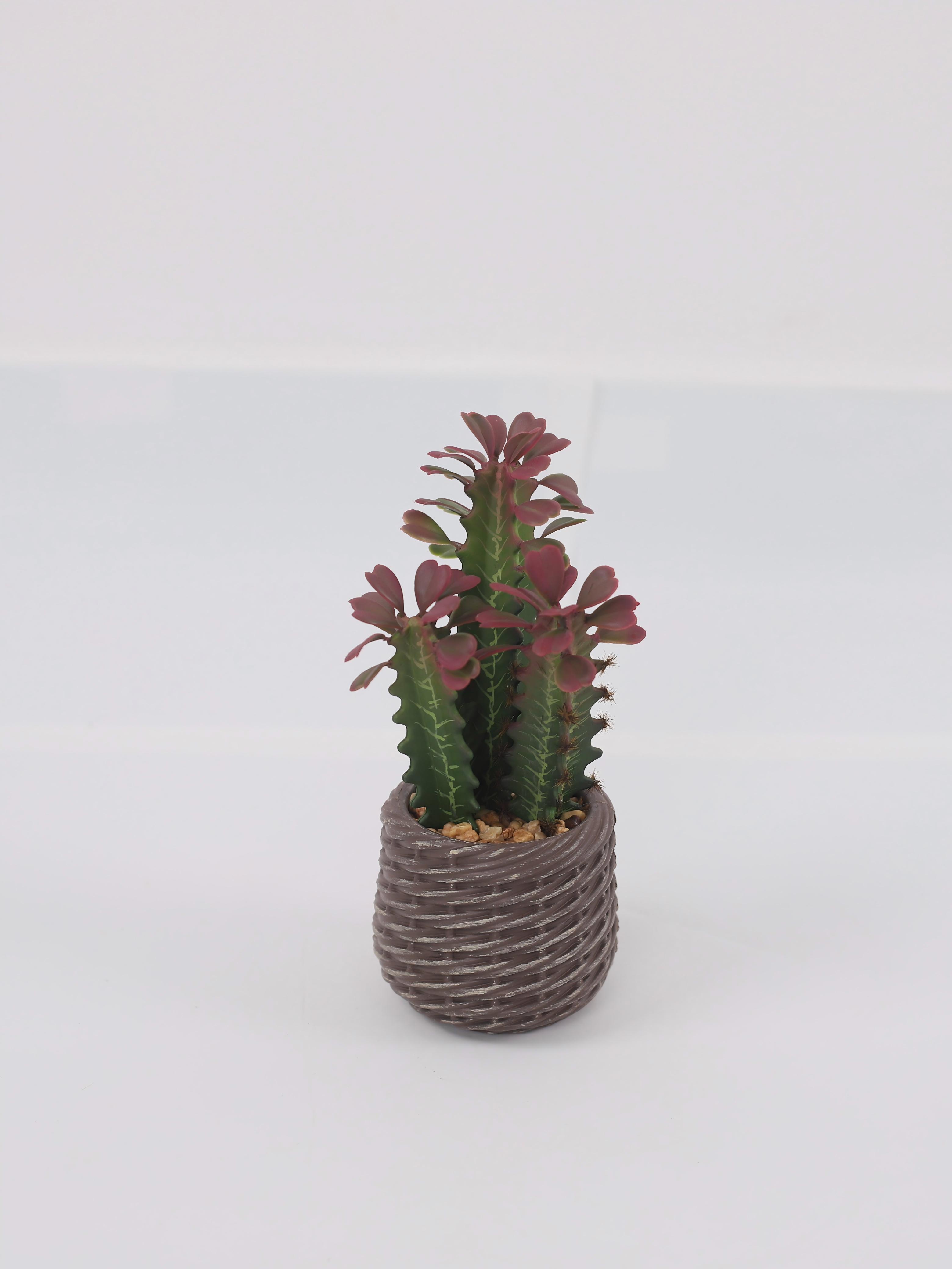 24P0738-Artificial Cactus in EVA Pot