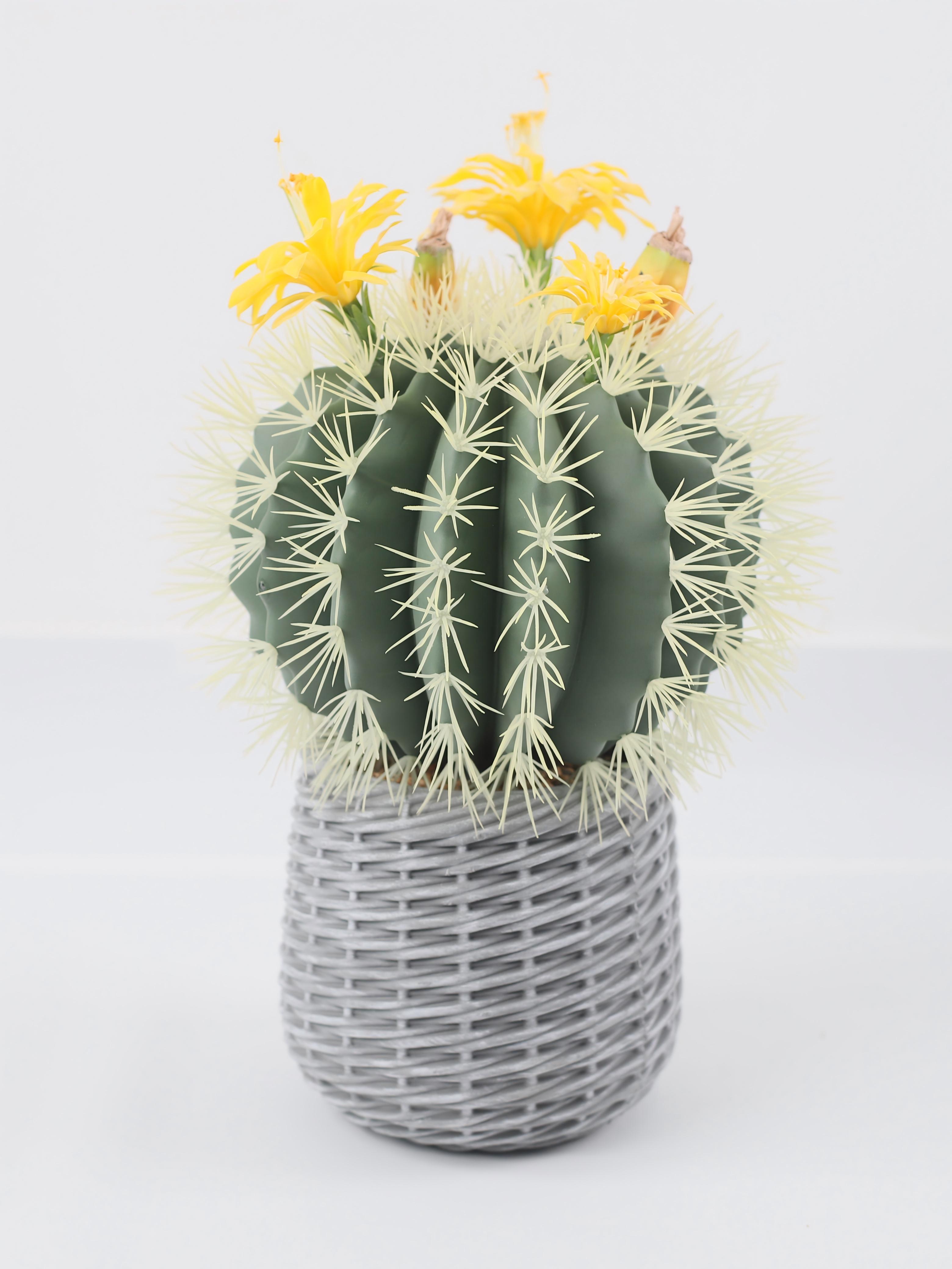 24P0843-Artificial Cactus in EVA Pot