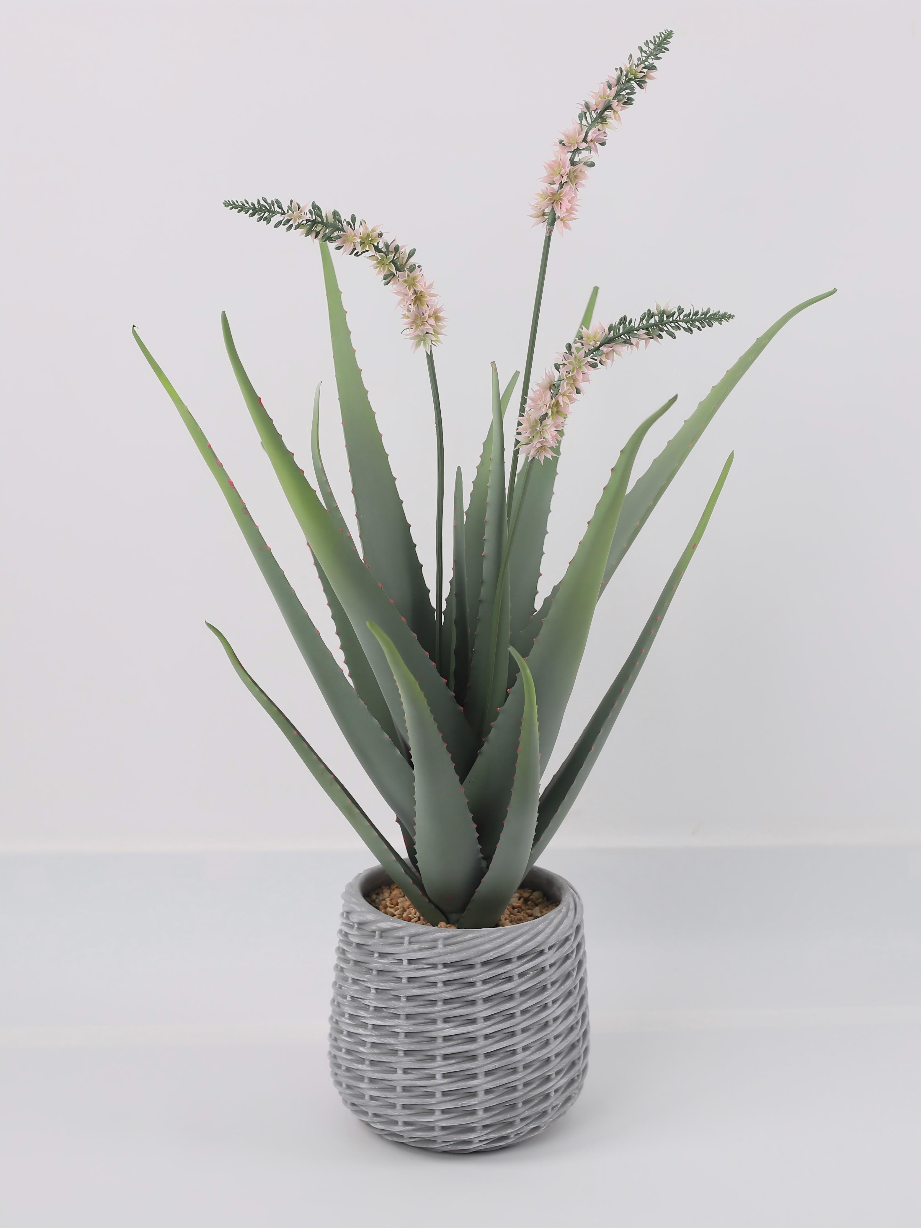 24P0751-Artificial Cactus in EVA Pot