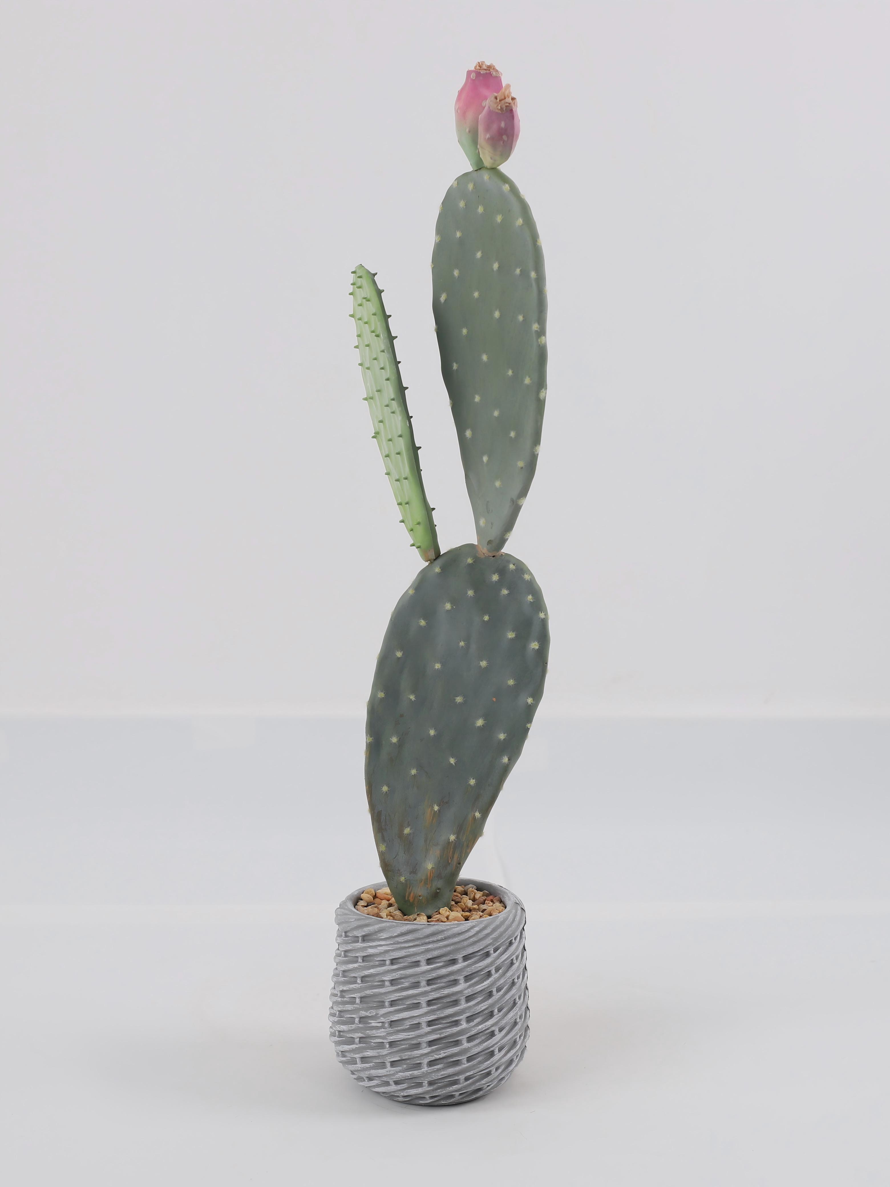 24P0747-Artificial Cactus in EVA Pot