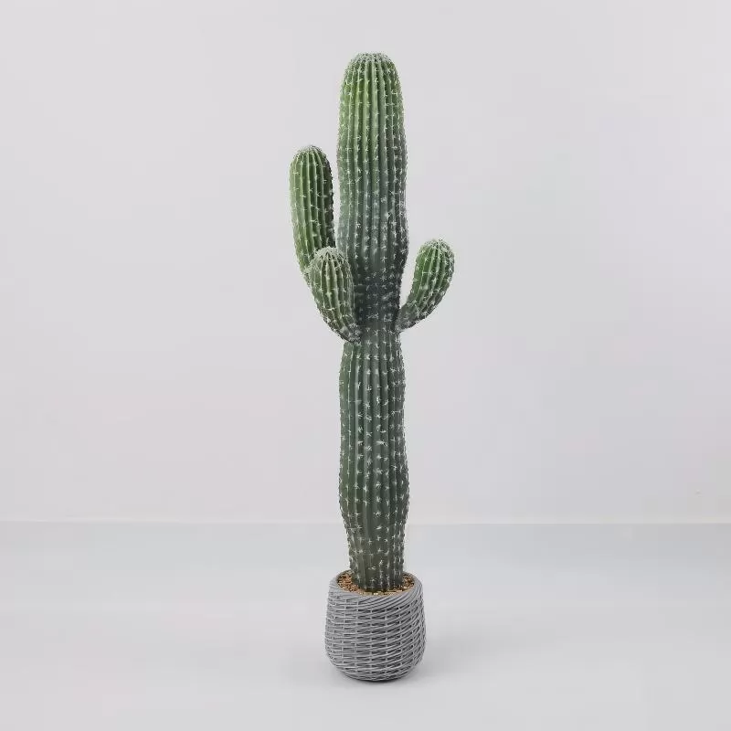 24P0719-Artificial Cactus in EVA Pot