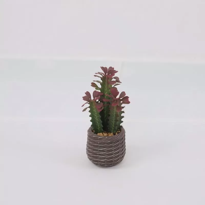 24P0738-Artificial Cactus in EVA Pot