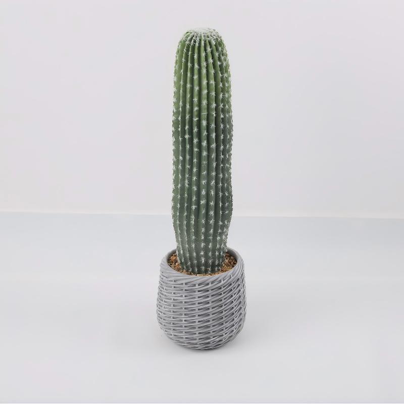 24P0720-Artificial Cactus in EVA Pot