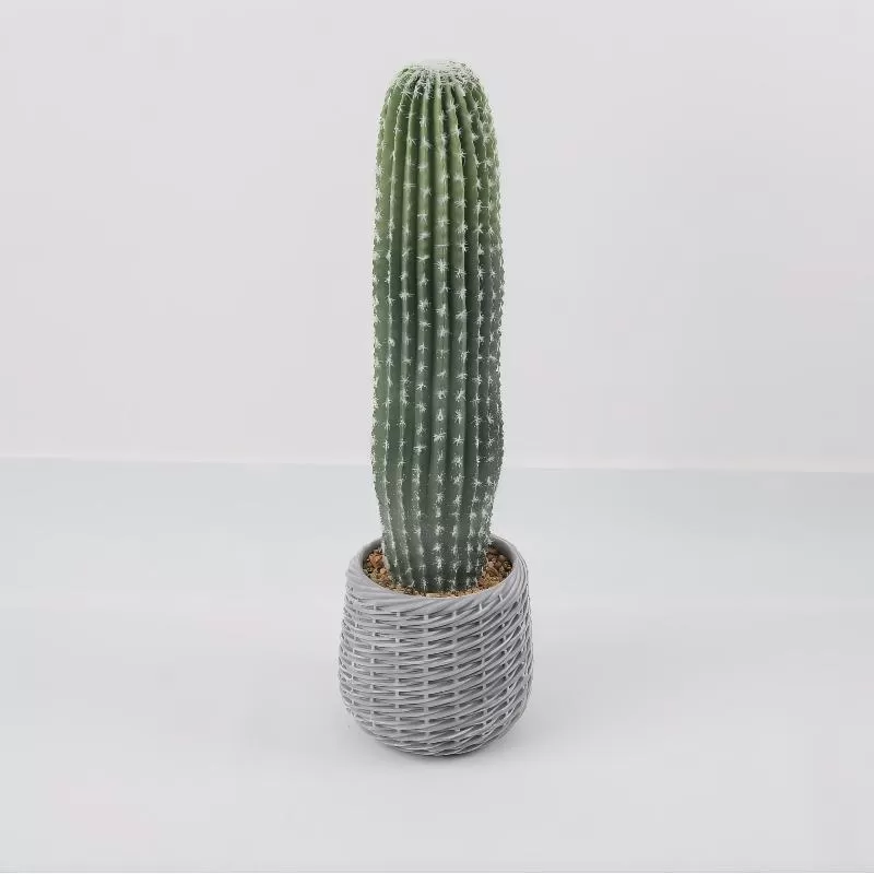 24P0720-Artificial Cactus in EVA Pot