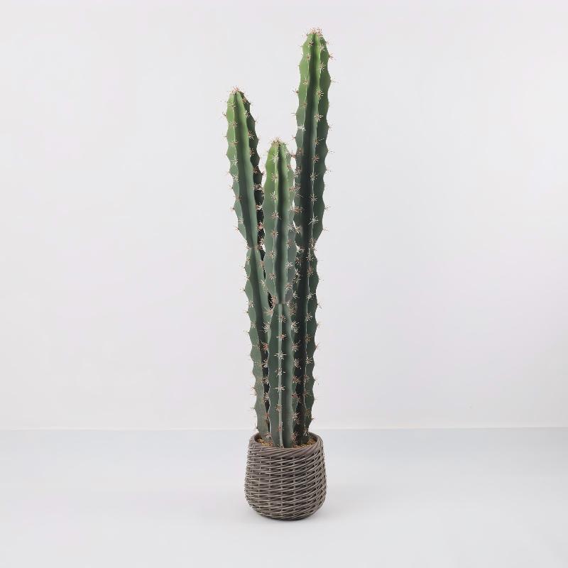 24P0840-Artificial Cactus in EVA Pot