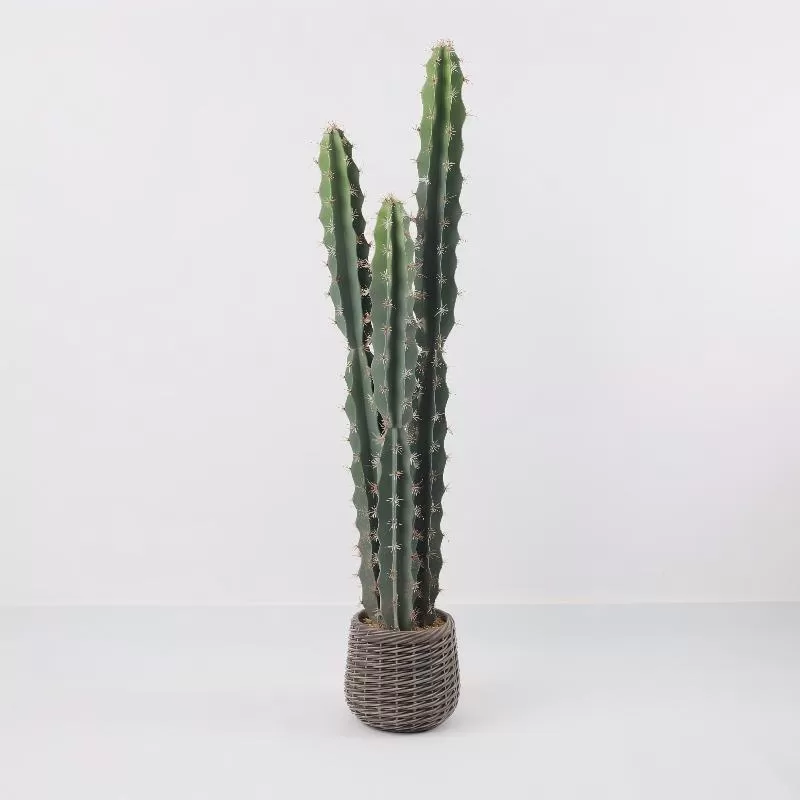 24P0840-Artificial Cactus in EVA Pot