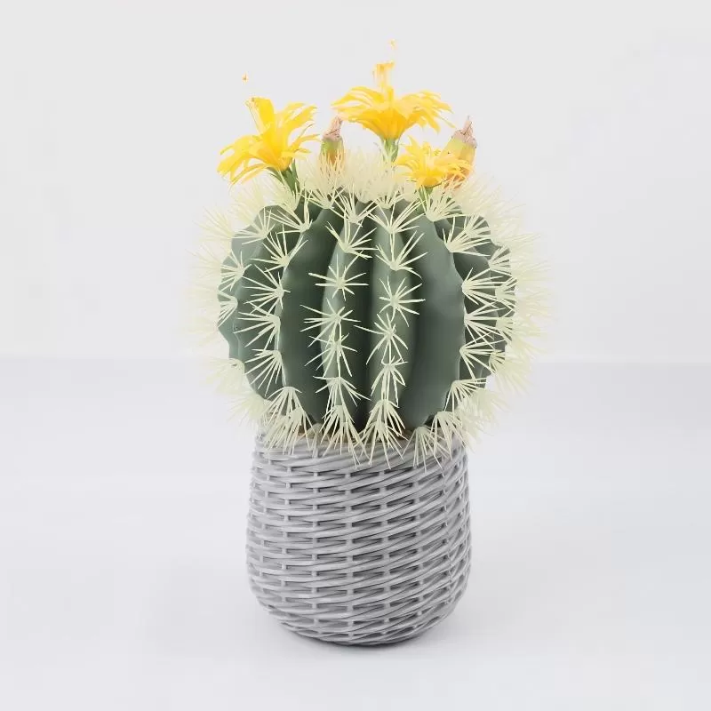 24P0843-Artificial Cactus in EVA Pot