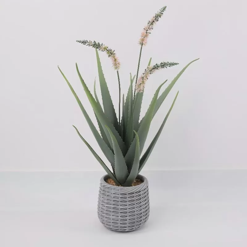 24P0751-Artificial Aloe in EVA Pot