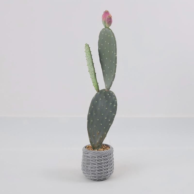 24P0747-Artificial Cactus in EVA Pot