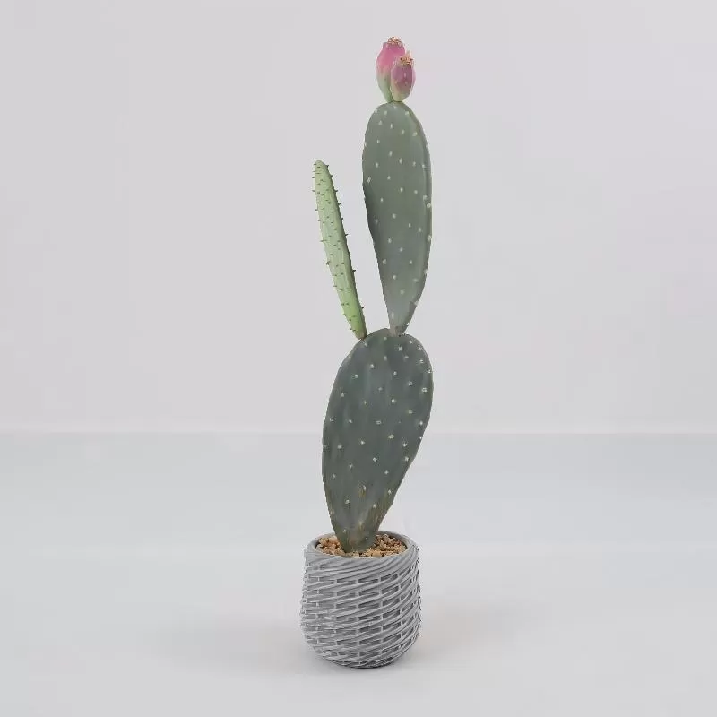 24P0747-Artificial Cactus in EVA Pot