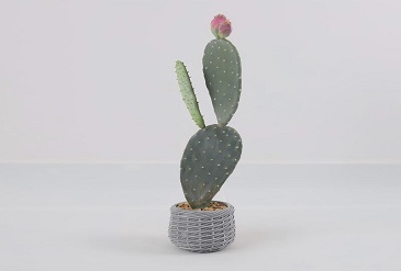 How to Decorate with Artificial Cactus Plants