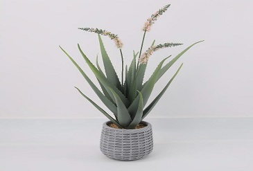 Artificial Cactus Ideas for Modern Interiors
