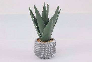 Best Artificial Cactus Plants for Home and Office