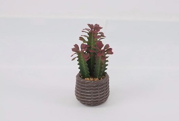 Artificial Cactus vs Real Cactus: Which Is Better for Decor?