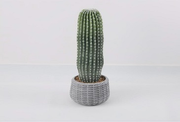 Artificial Cactus Arrangement Ideas for Any Space