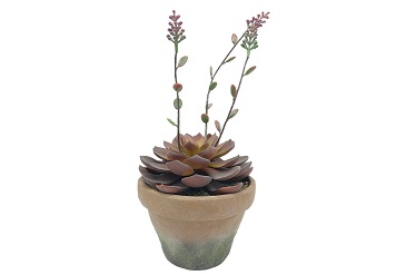 Top Artificial Cactus Trends for 2025