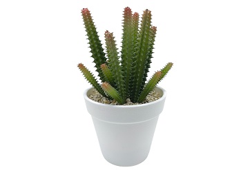 Best Artificial Succulent Designs for 2025