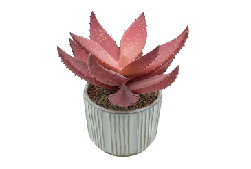Artificial Plants Decoration Trends 2025