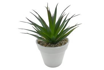 Styling Tips for Artificial Cacti & Succulents
