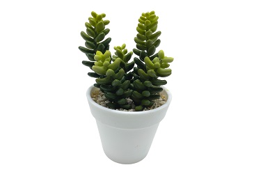 Artificial Succulents Ideas for Apartments