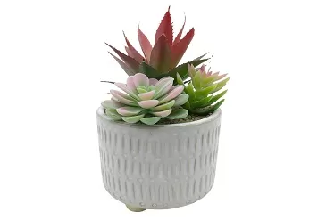 Styling Tips for Artificial Cactus and Succulent Displays