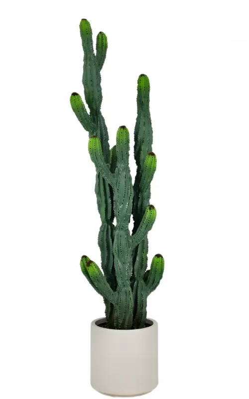 Artificial Cactus in White Plastic Pot - 46 Inch Lifelike Faux Plant