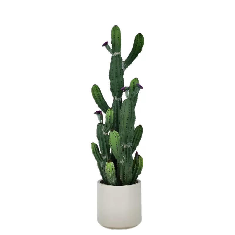 Artificial Cactus with Flowers in White Pot - 32 Inch (25P1042)